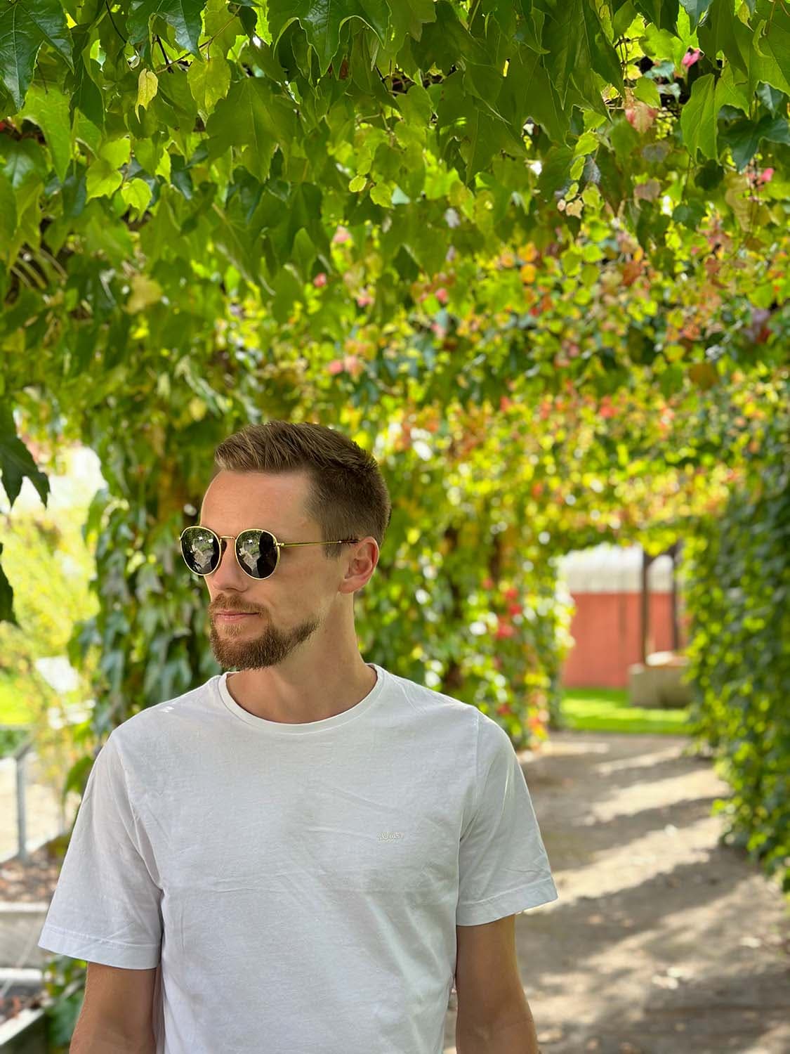 Moritz — Design & Strategie bei peschs